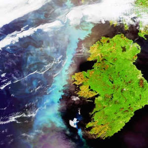Планктон и Ирландия Credits: ESA